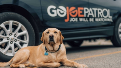 GoJoe Patrol Pup Photo